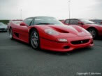 F 50